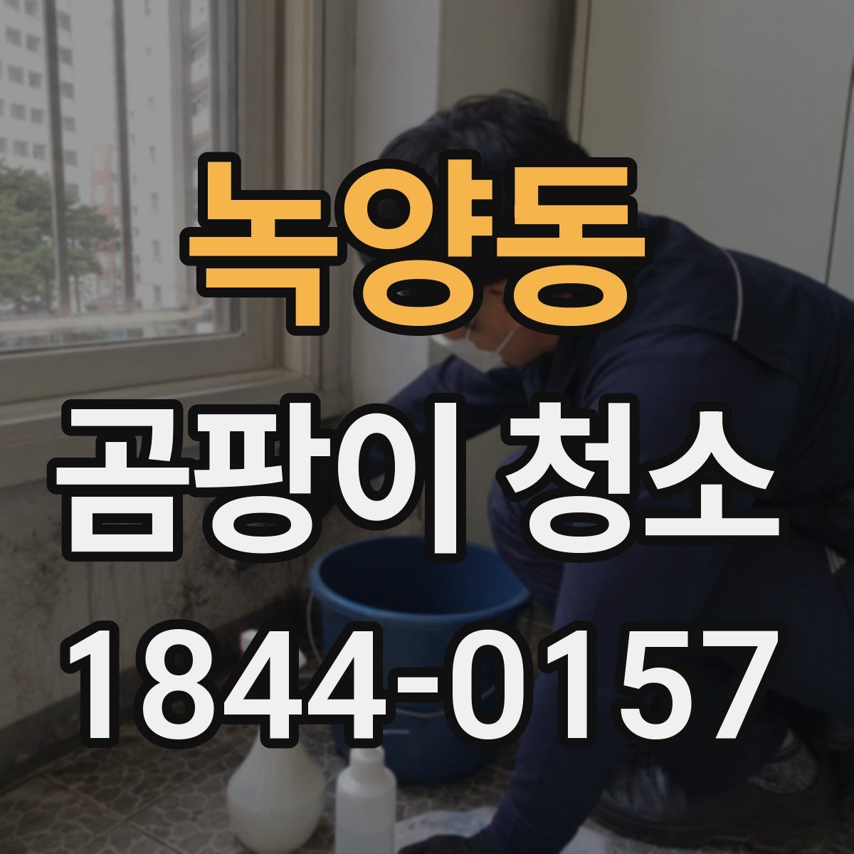 녹양동 곰팡이 청소