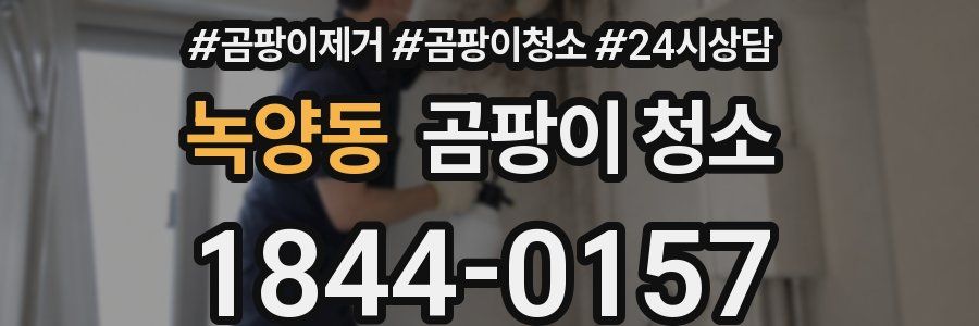 녹양동 곰팡이 청소