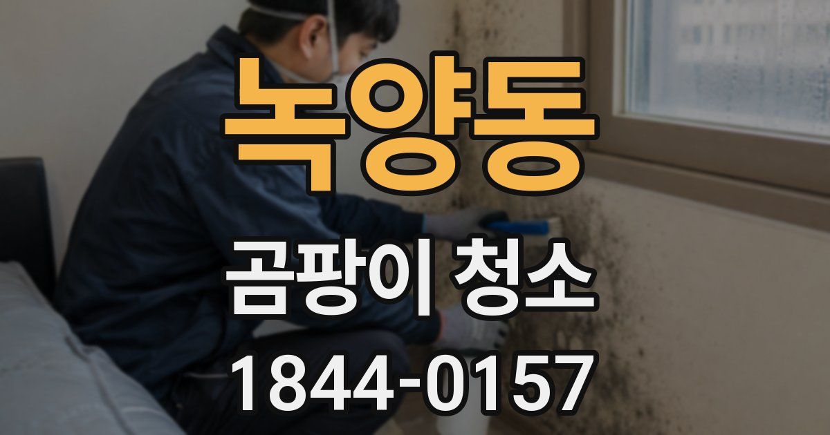 녹양동 곰팡이 청소