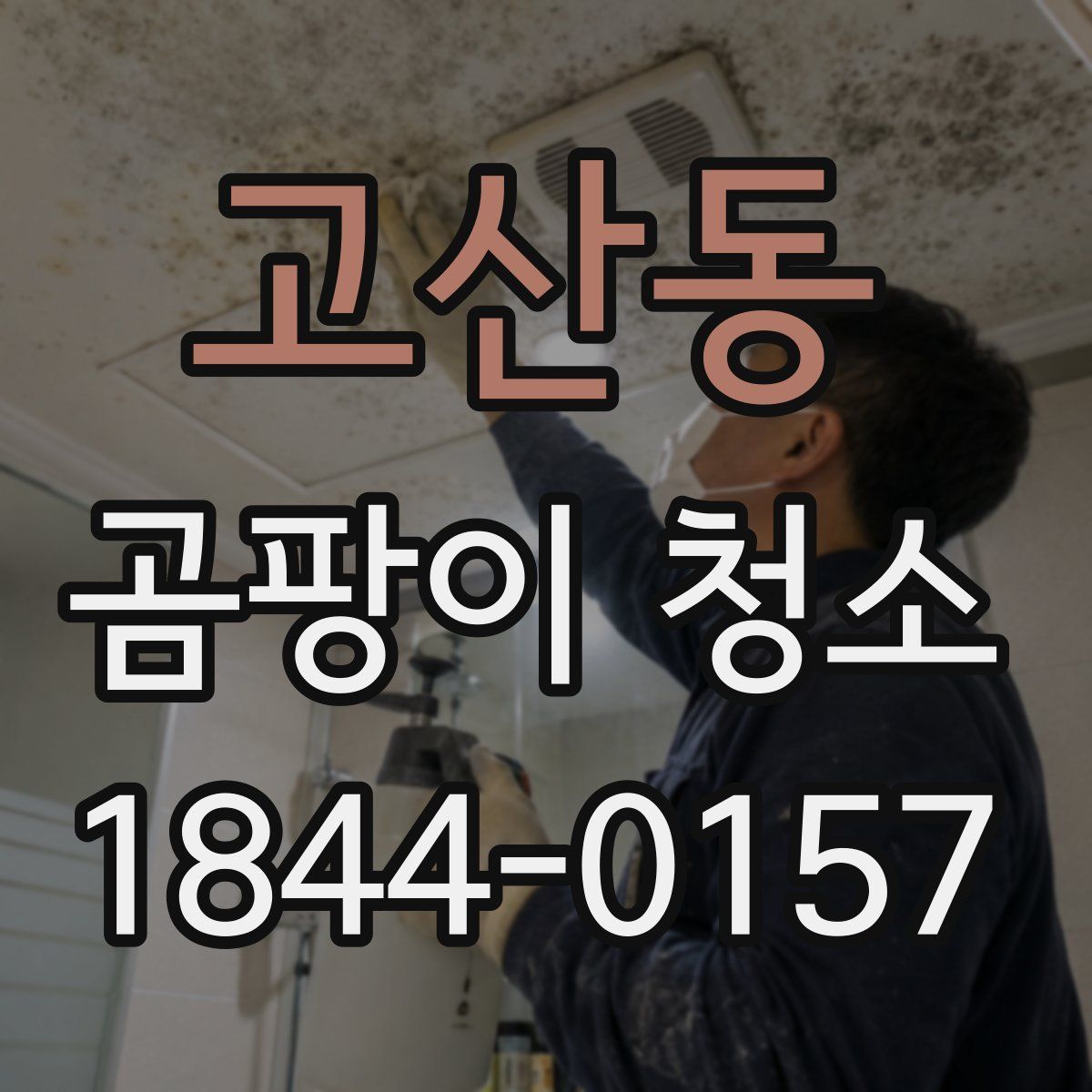 고산동 곰팡이 청소