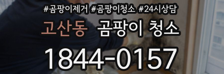 고산동 곰팡이 청소