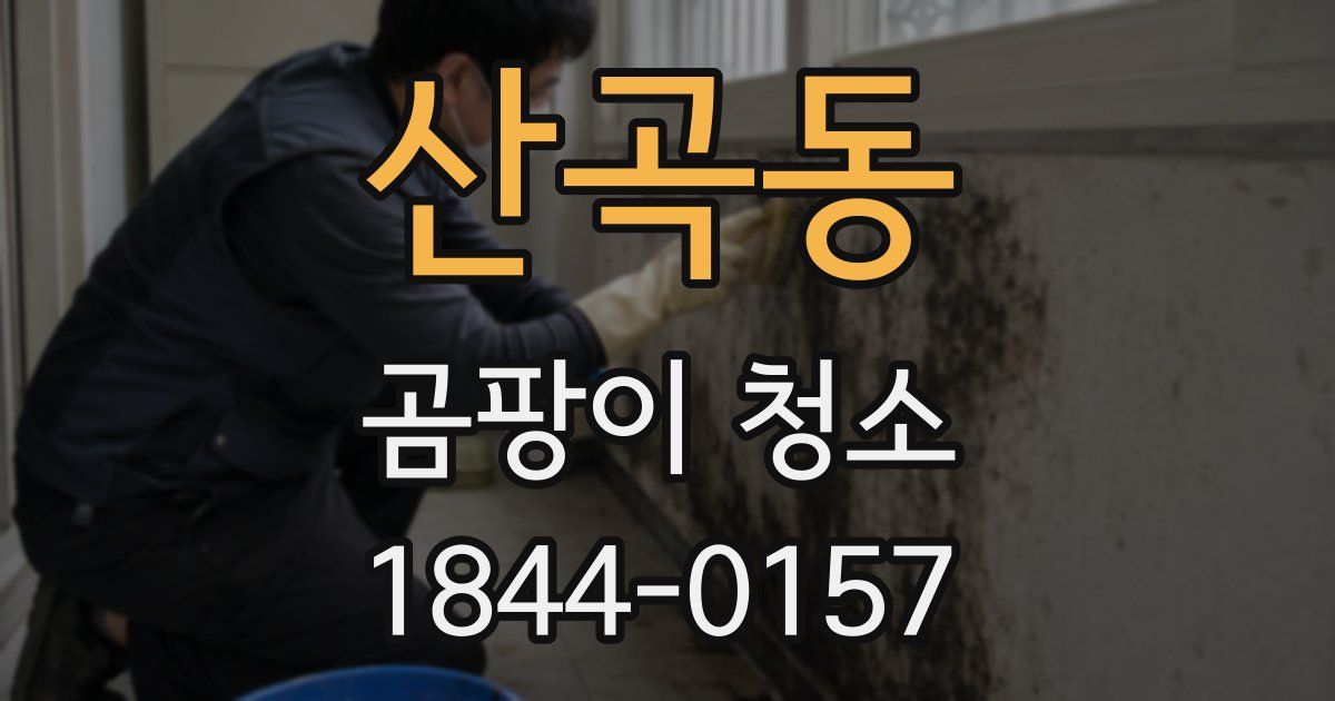 산곡동 곰팡이 청소