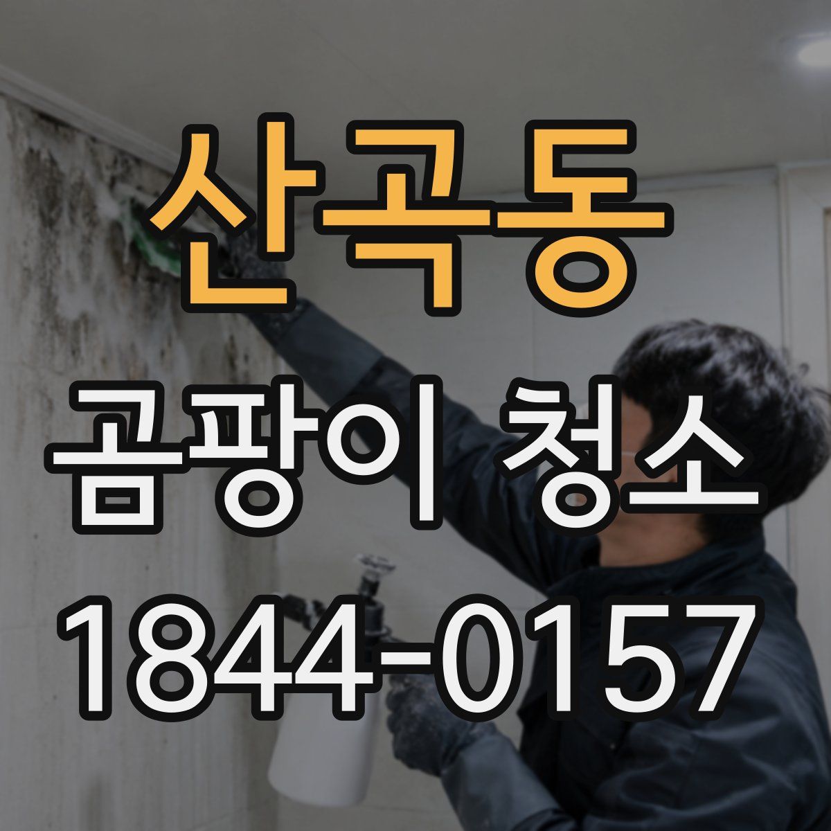 산곡동 곰팡이 청소