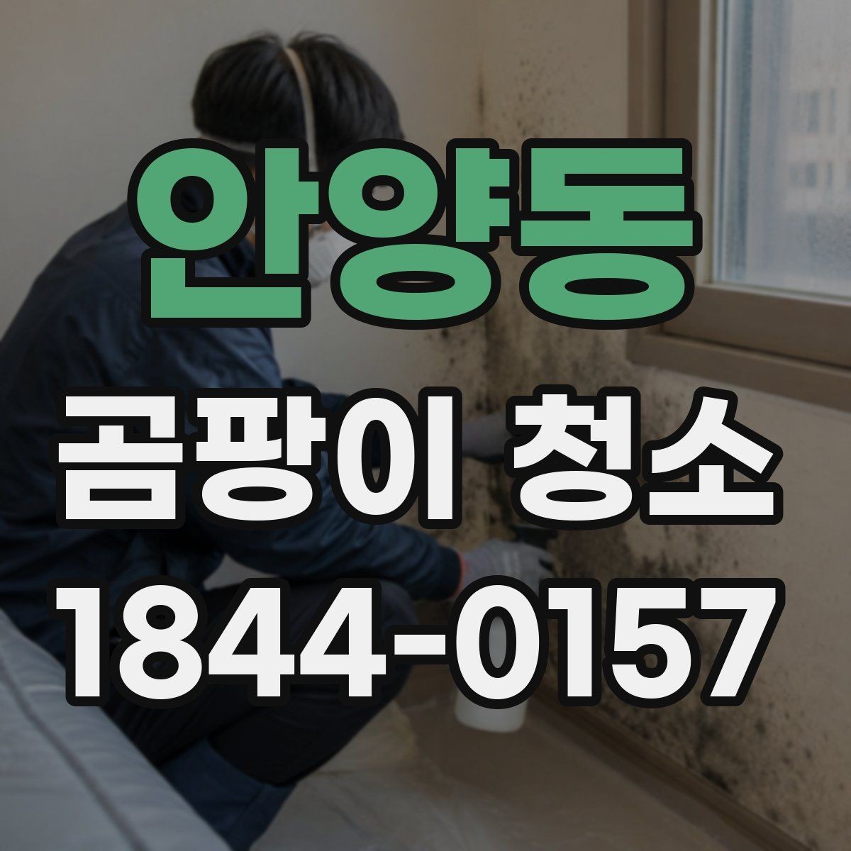 안양동 곰팡이 청소 실리콘 주변 오염이 반복되는 까닭