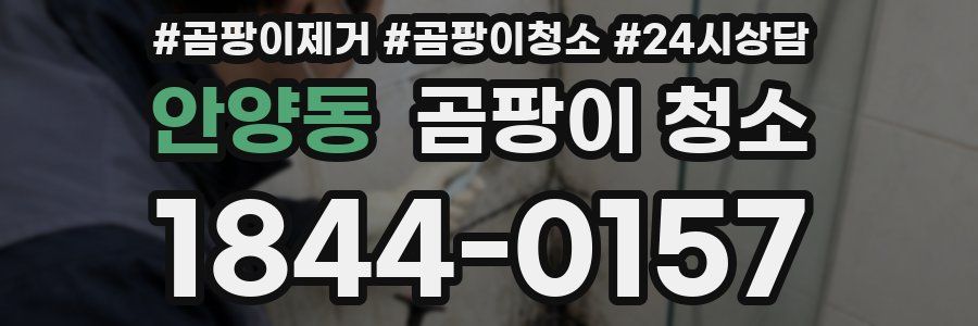 안양동 곰팡이 청소