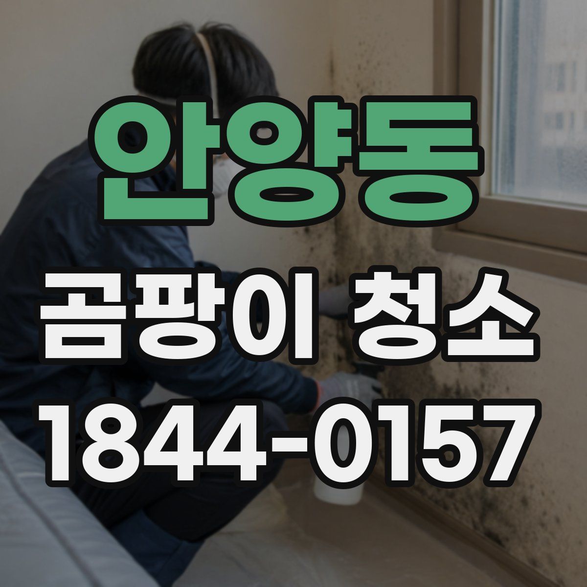 안양동 곰팡이 청소