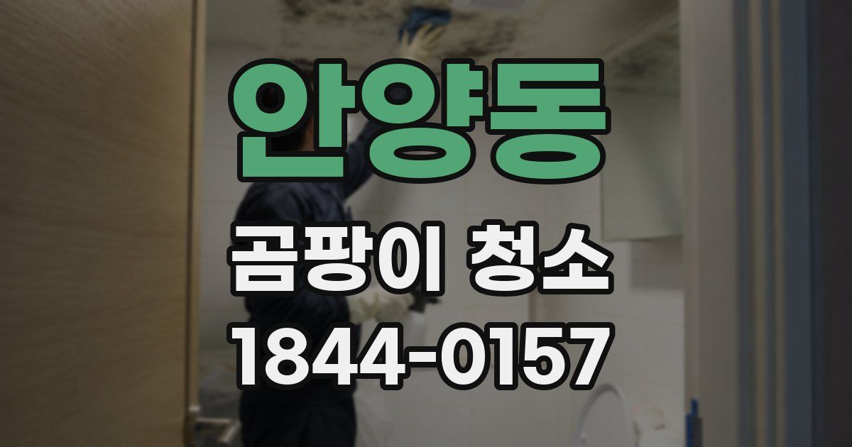 안양동 곰팡이 청소