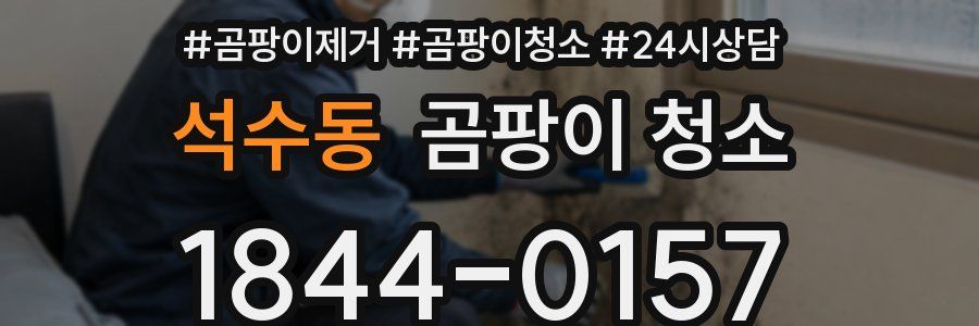 석수동 곰팡이 청소