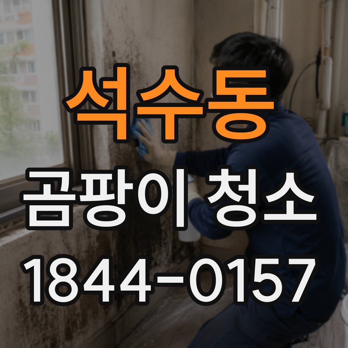 석수동 곰팡이 청소