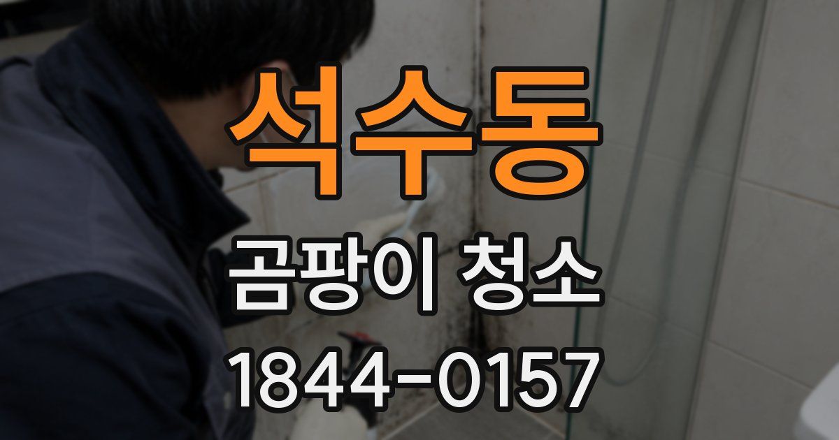 석수동 곰팡이 청소