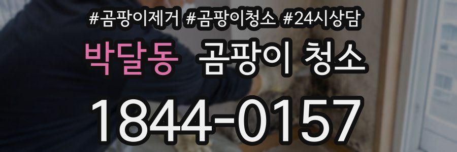 박달동 곰팡이 청소