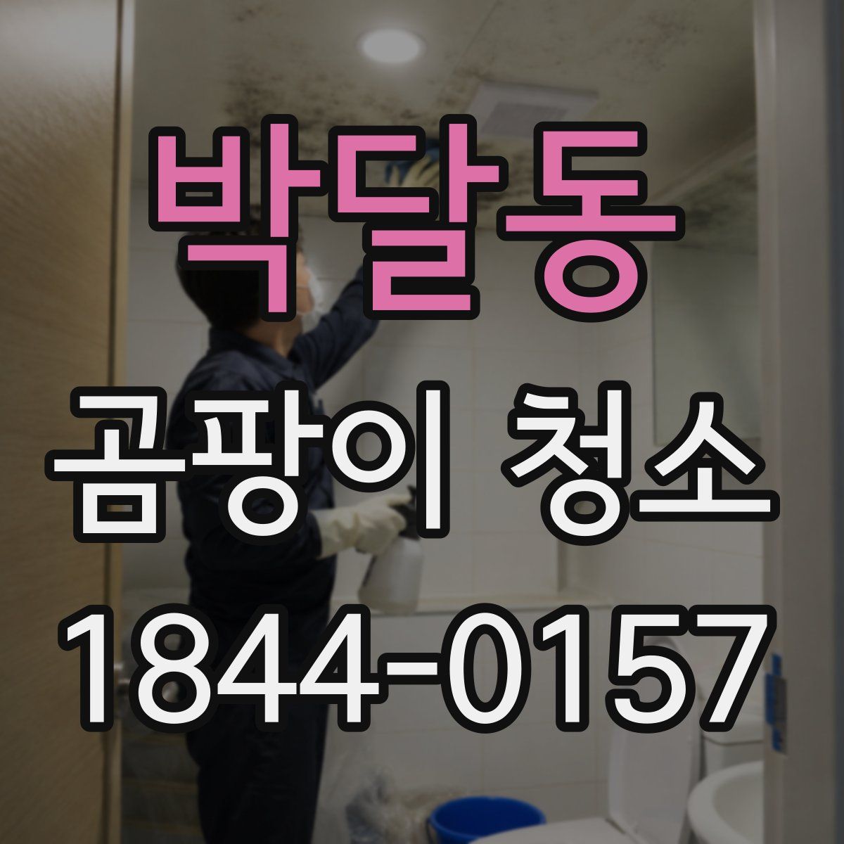 박달동 곰팡이 청소