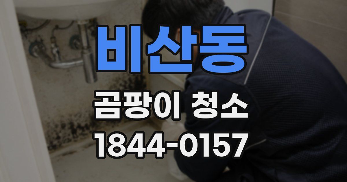 비산동 곰팡이 청소