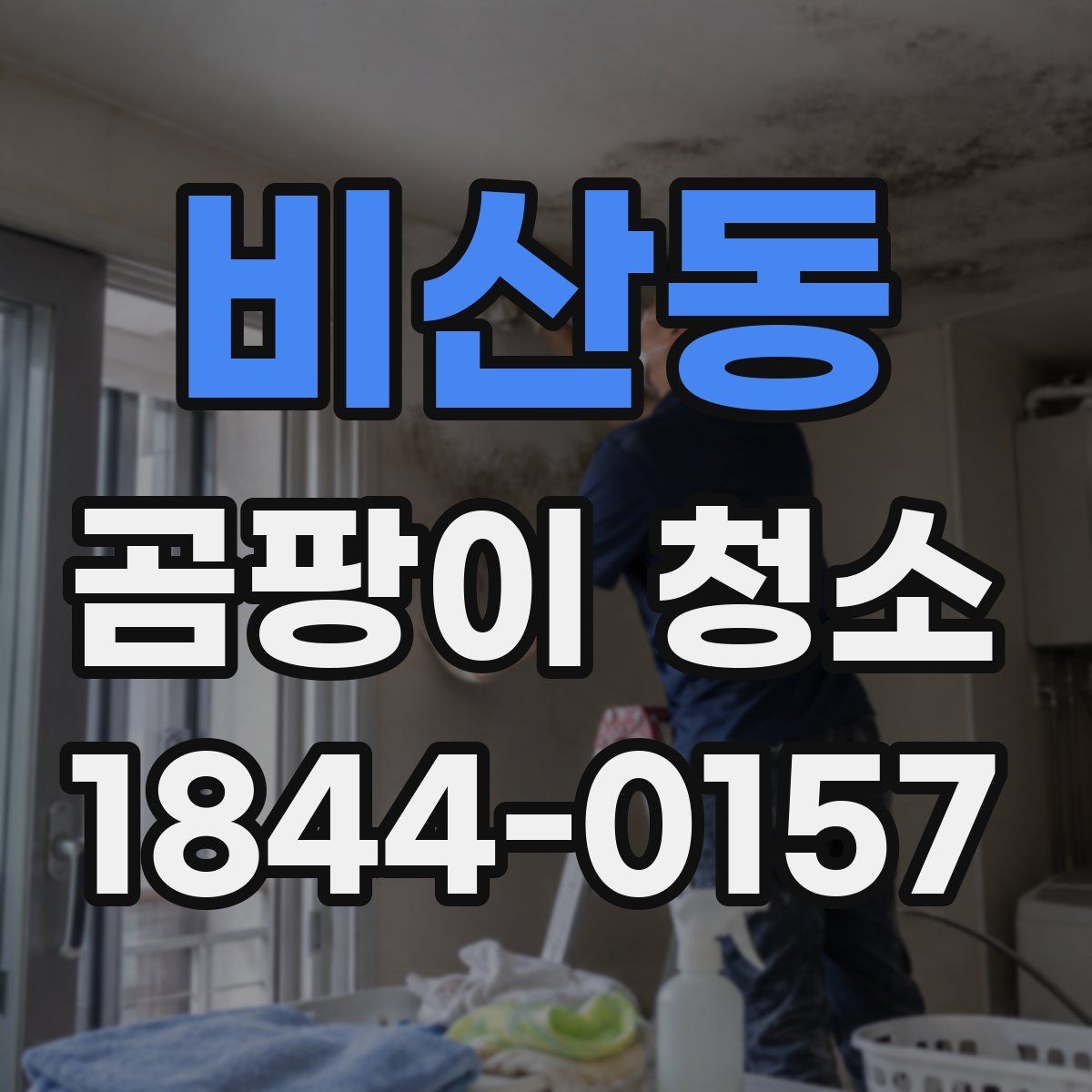비산동 곰팡이 청소