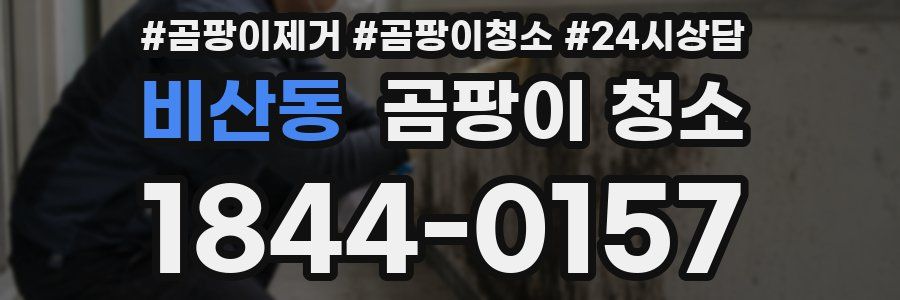 비산동 곰팡이 청소