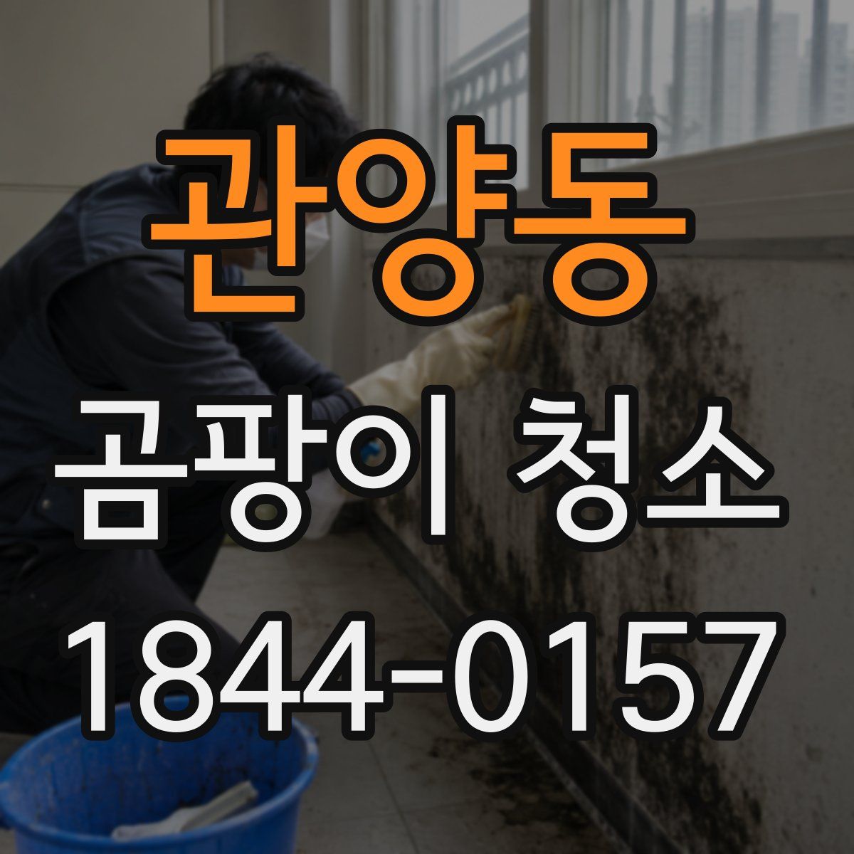 관양동 곰팡이 청소