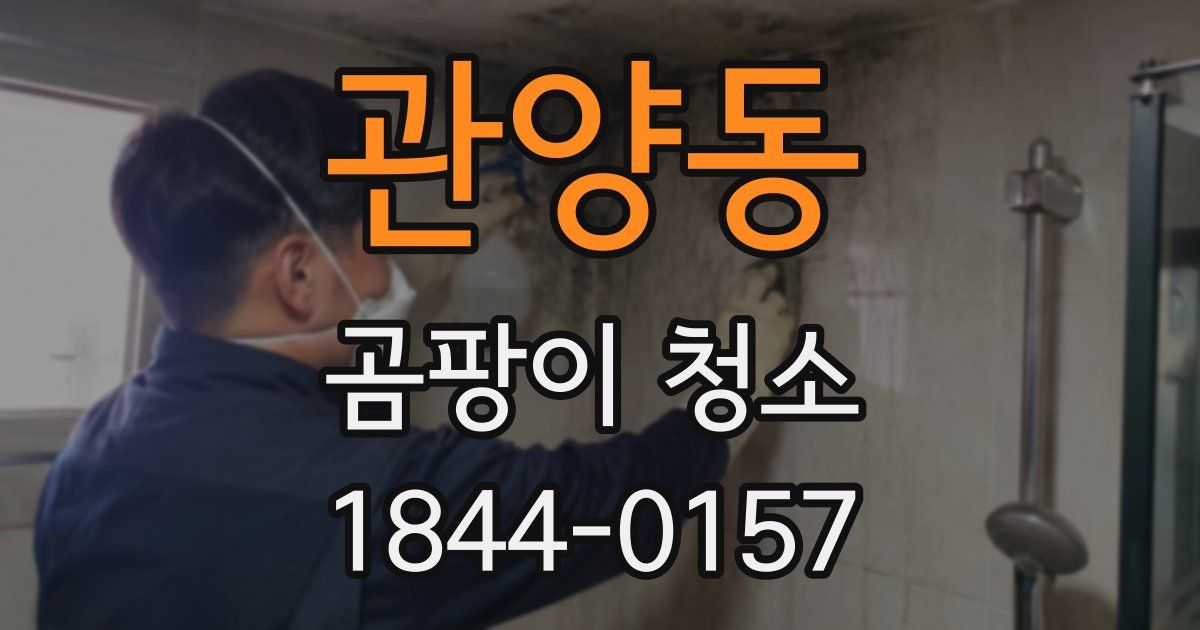 관양동 곰팡이 청소
