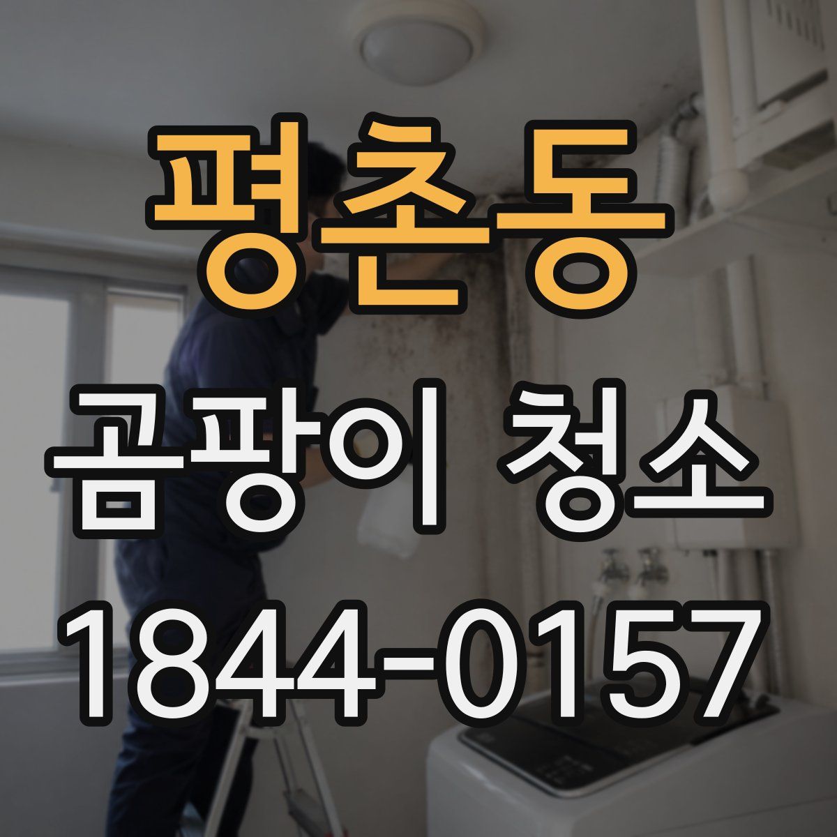 평촌동 곰팡이 청소