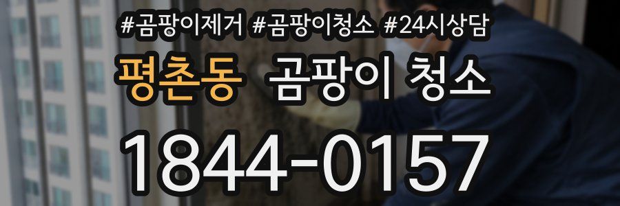 평촌동 곰팡이 청소