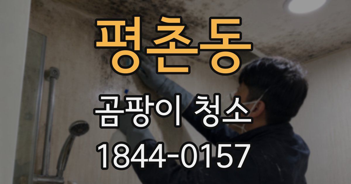 평촌동 곰팡이 청소