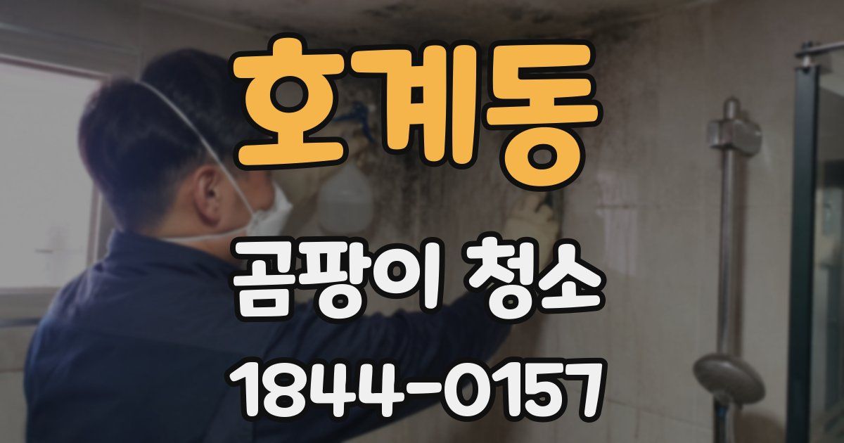 호계동 곰팡이 청소