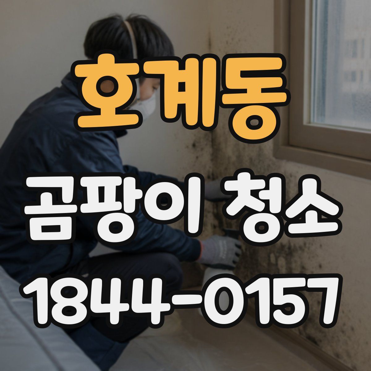 호계동 곰팡이 청소