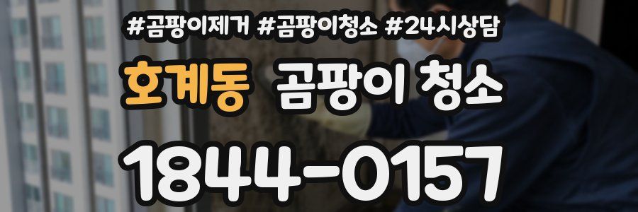 호계동 곰팡이 청소