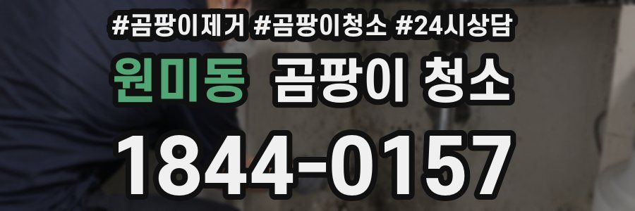 원미동 곰팡이 청소