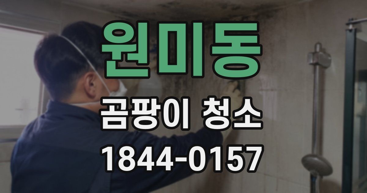 원미동 곰팡이 청소