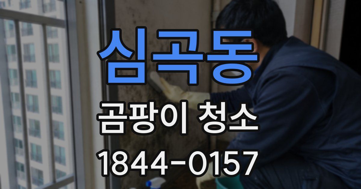 심곡동 곰팡이 청소