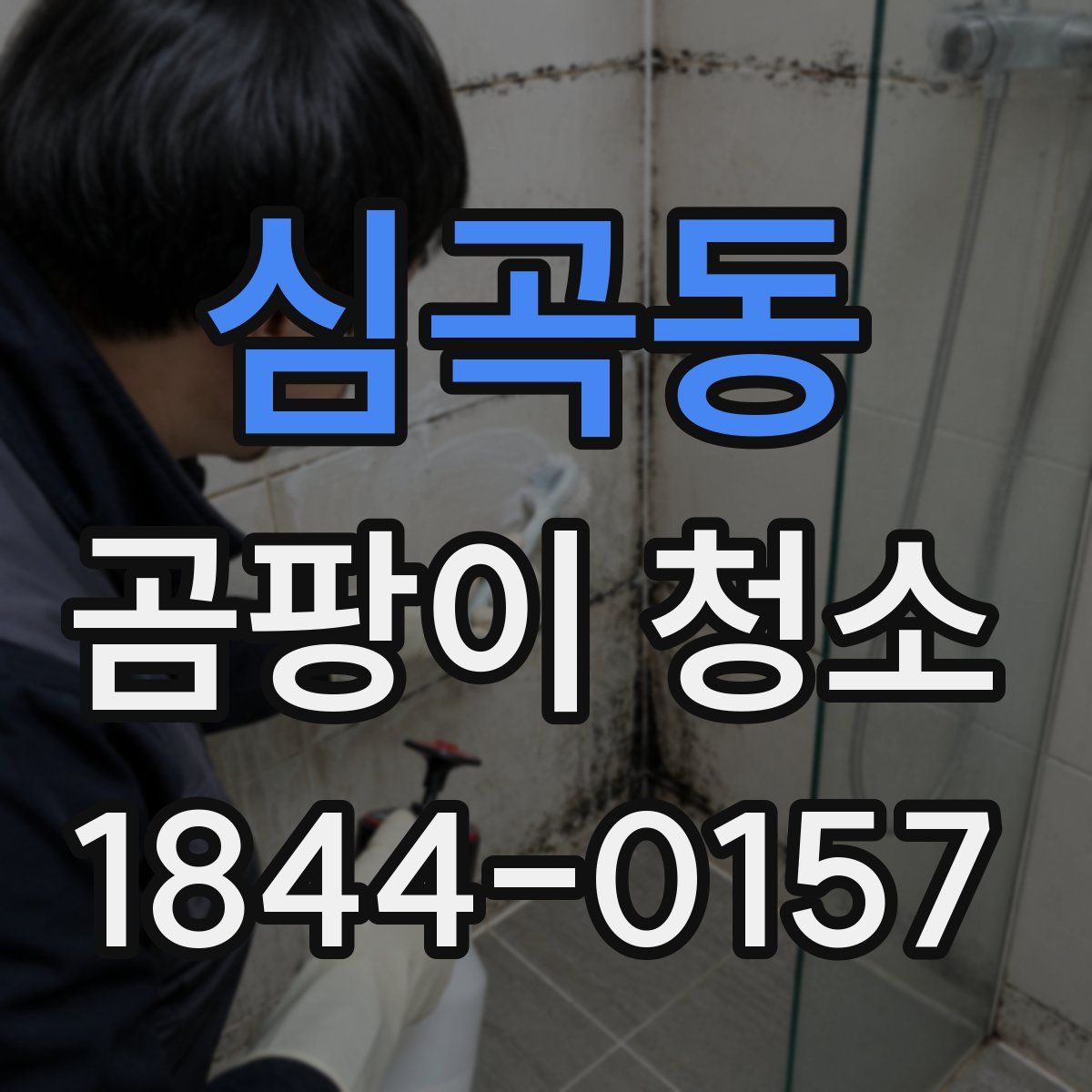 심곡동 곰팡이 청소