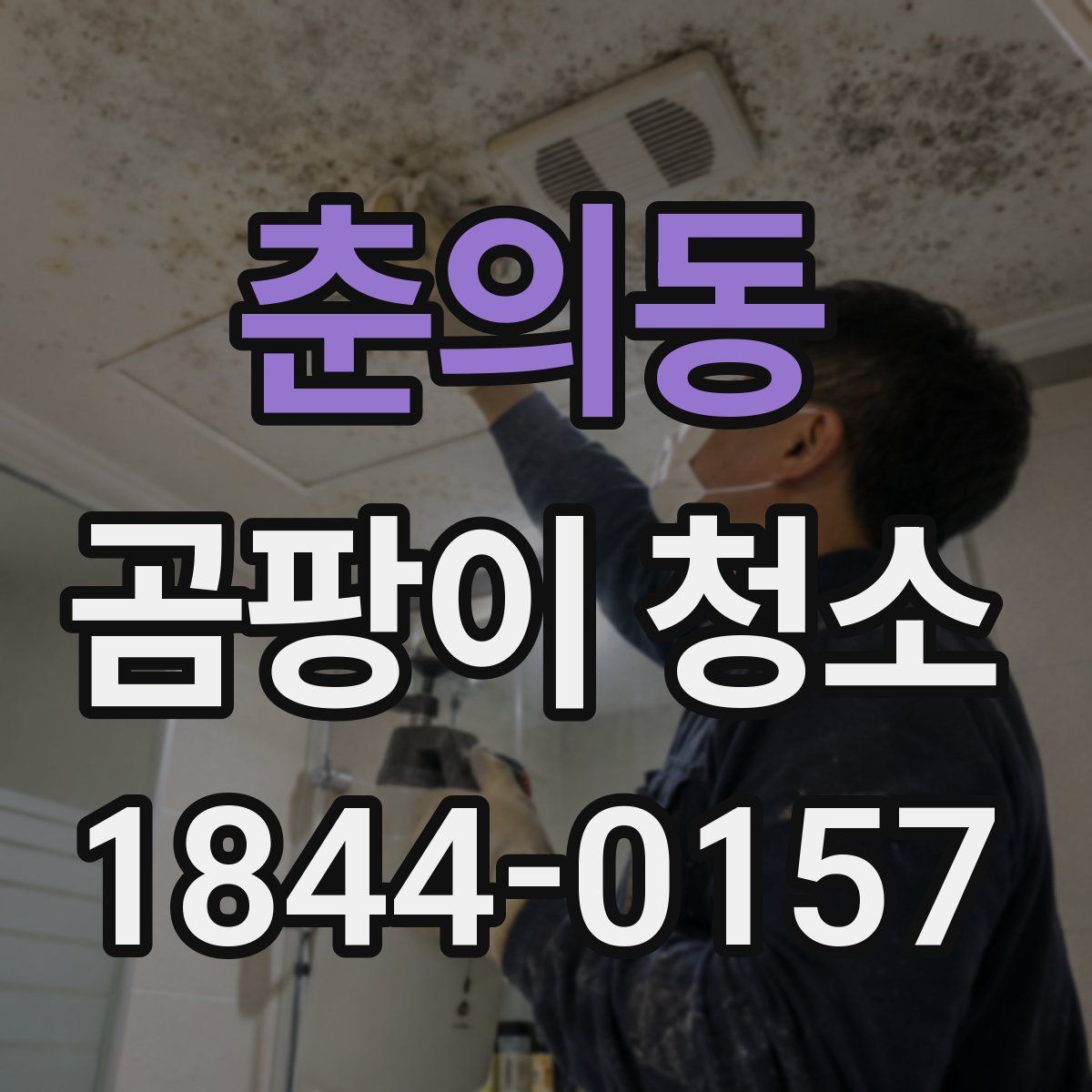 춘의동 곰팡이 청소