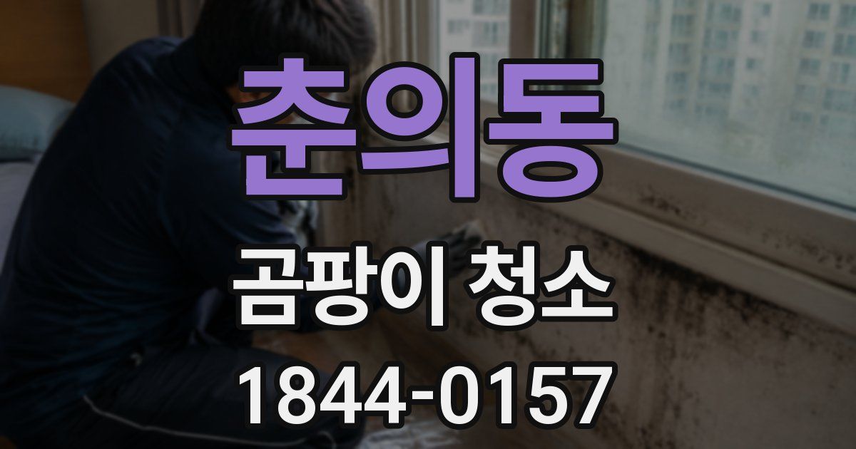 춘의동 곰팡이 청소