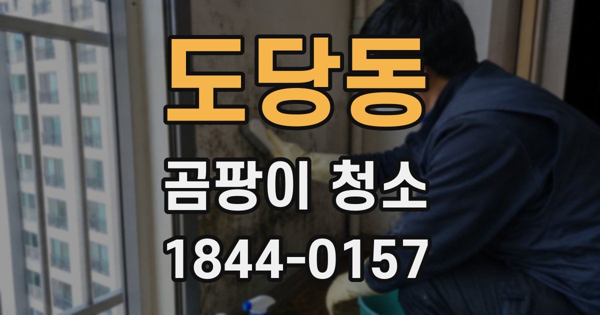 도당동 곰팡이 청소