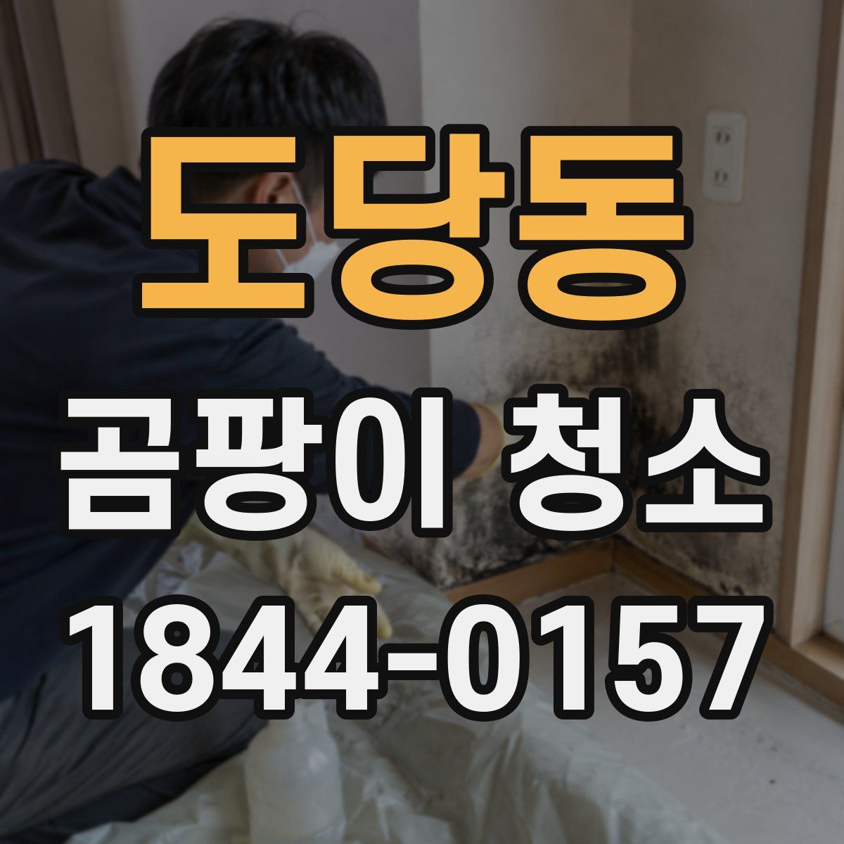 도당동 곰팡이 청소