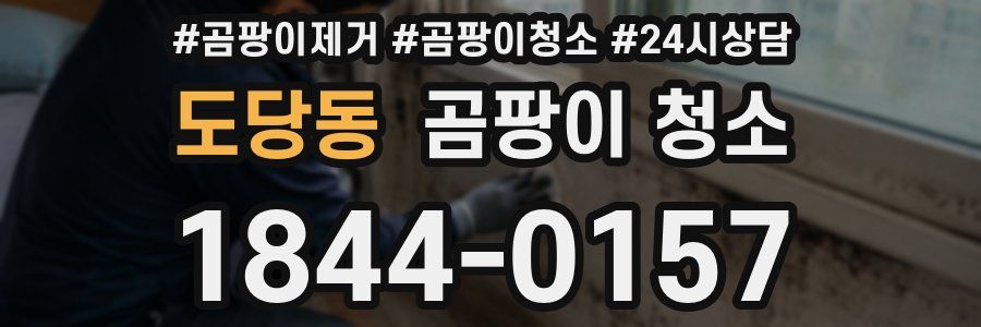 도당동 곰팡이 청소