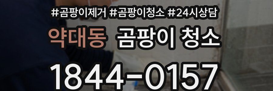 약대동 곰팡이 청소