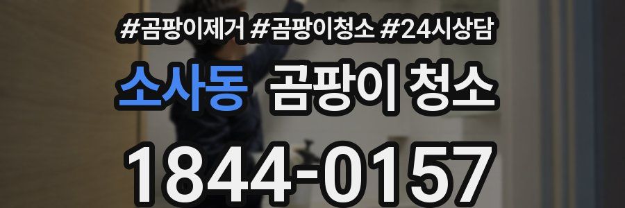 소사동 곰팡이 청소