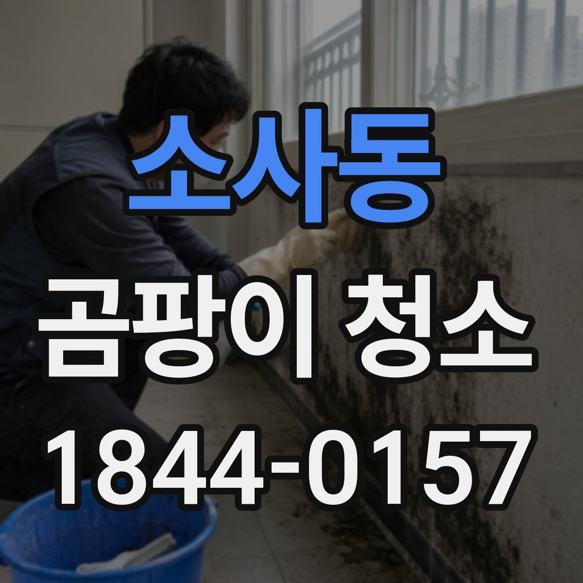 소사동 곰팡이 청소