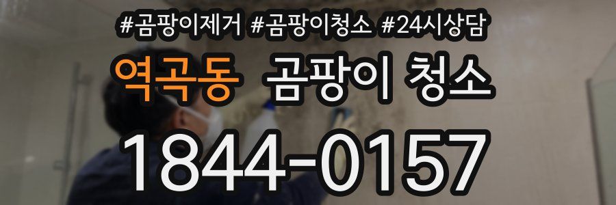 역곡동 곰팡이 청소