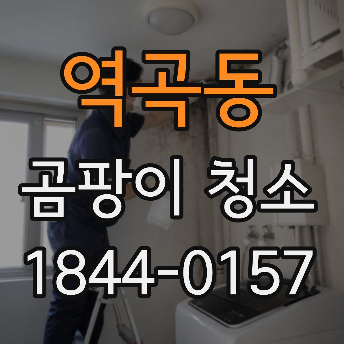 역곡동 곰팡이 청소