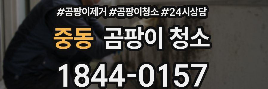 중동 곰팡이 청소