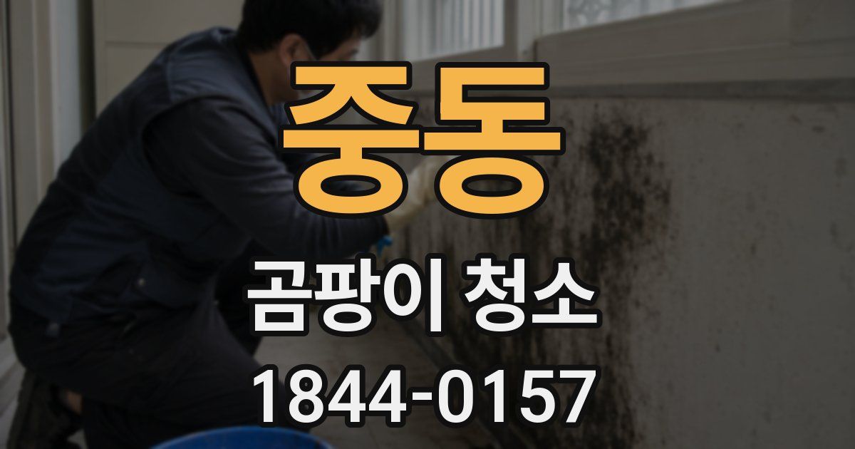 중동 곰팡이 청소