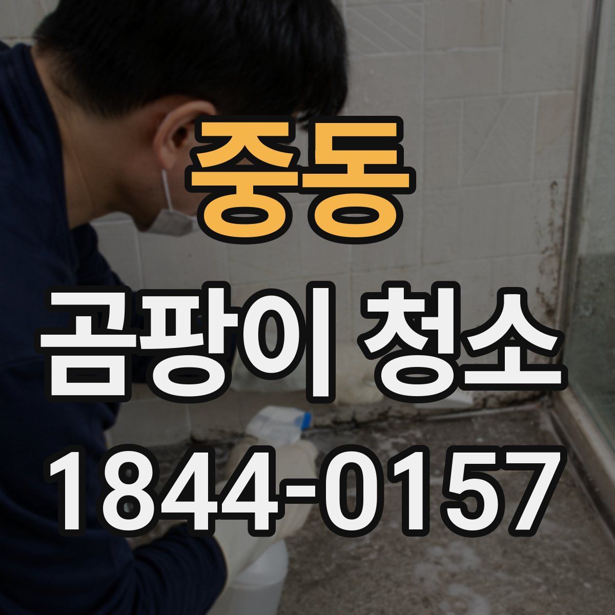 중동 곰팡이 청소