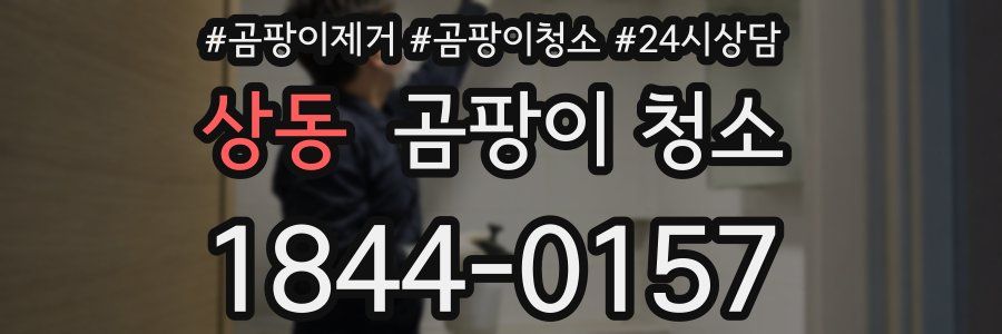 상동 곰팡이 청소