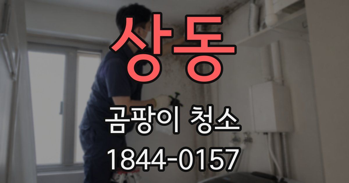 상동 곰팡이 청소