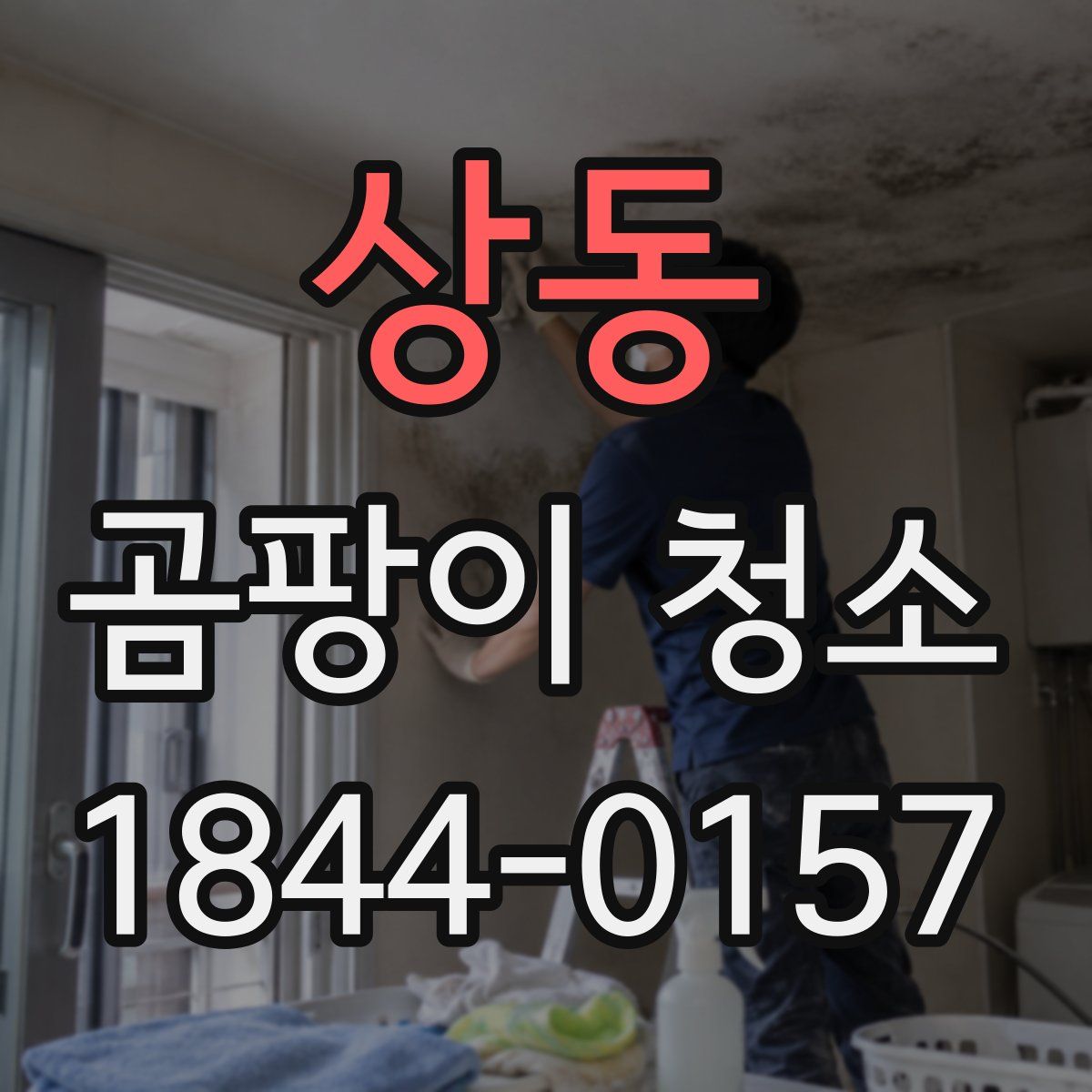 상동 곰팡이 청소