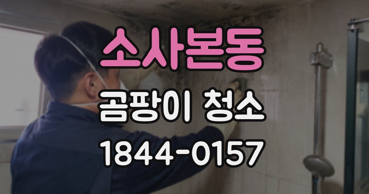 소사본동 곰팡이 청소