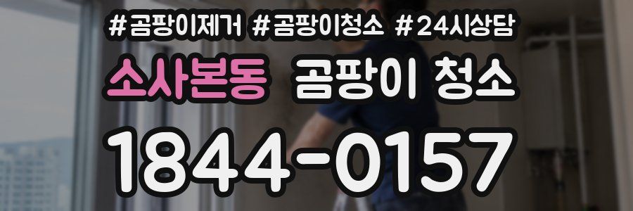 소사본동 곰팡이 청소