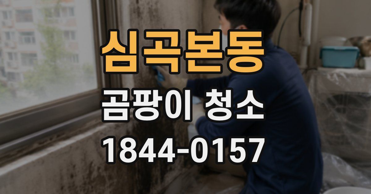 심곡본동 곰팡이 청소